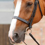 Premier Equine Primo Hunter Cavesson Noseband in Black - Lifestyle