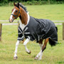 Horseware Amigo 1200D XL Turnout Rug 0g - Black/Titanium Grey