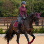 Premier Equine Close Contact Merino Wool European Dressage Saddle Pad in Burgundy/Navy Wool - Lifestyle