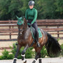 Premier Equine Close Contact Merino Wool European Dressage Saddle Pad in Green/Green Wool - Lifestyle