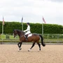 LeMieux Loire General Purpose Saddle Pad - Lifestyle