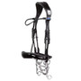PS of Sweden Passage Double Bridle - Black Lacquer