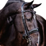 PS of Sweden Passage Double Bridle - Black Lacquer - Lifestyle