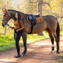 LeMieux Loire Classic Close Contact Saddle Pad  - Ginger