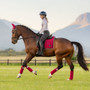 LeMieux Loire Classic Dressage Saddle Pad  on galloping horse