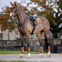 Horse with the LeMieux Loire Classic General Purpose Saddle Pad in Ginger on