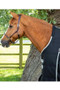Premier Equine Lucanta Demi Stable Rug 100g in Black
