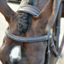 Collegiate ComFiTec Opulux Fancy Stitch Padded Hanoverian Bridle - Browband detail