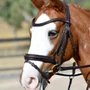 Collegiate ComFiTec Opulux Plain Padded Hanoverian Flash Bridle - Brown - Lifestyle