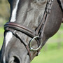 Collegiate ComFiTec Opulux Plain Padded Hanoverian Flash Bridle - Brown - Noseband Detail