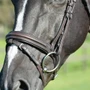 Collegiate ComFiTec Opulux Plain Padded Hanoverian Flash Bridle - Brown - Noseband Detail