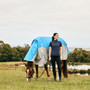 WeatherBeeta Dual Shield Detach-A-Neck Fly Rug - Lifestyle