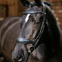 LeMieux Arika Split Noseband Bridle - Lifestyle