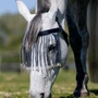 LeMieux Fly Fringe in Dusk - lifestyle