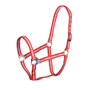 Shires Wessex Headcollar - Red/Silver