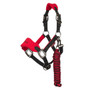 Mini LeMieux Vogue Head Collar and Lead Rope in Chilli