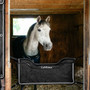 LeMieux Show Stable Guard in Black- Lifestyle