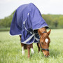 Highlander Original Combo Turnout Rug 0g in Navy - Lifestyle