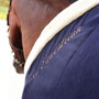 Shires Deluxe Fleece Rug in navy