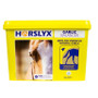Horslyx Balancer Lick - Garlic