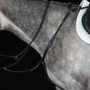 Collegiate Hunter Breast Plate IV in  Black
