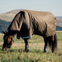 LeMieux Arika 600D Ripstop 0g Turnout Rug  - lifestyle
