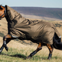 LeMieux Arika 600D Ripstop 0g Turnout Rug - Lifestyle