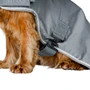 Horseware Newmarket Dog Coat - Belly