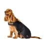 Horseware Newmarket Dog Coat - Witney Gold
