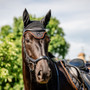 Horseware Newmarket Ear Net - Witney Gold