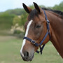 Roma Headcollar and Leadrope Set - Navy