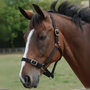 Roma Headcollar and Leadrope Set