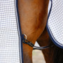 LeMieux Arika Field Rug - Tail Strap