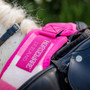 Horseware Newmarket Exercise Sheet  - Front Fastening