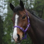 Saxon Economy Headcollar - Purple