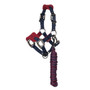 Mini LeMieux Vogue Head Collar & Lead Rope