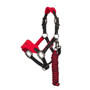 LeMieux Mini Vogue Headcollar and Leadrope in Chilli