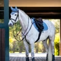 LeMieux Suede Close Contact Saddle Pad in Ice Blue - Lifestyle