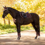 LeMieux Loire Classic Close Contact Saddle Pad - Lifestyle
