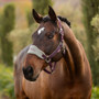 LeMieux Vogue Head Collar and Lead Rope - Lifestyle