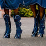 Horseware Signature Travel Boots - Full Set