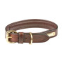Brown WeatherBeeta Padded Leather Dog Collar
