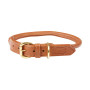 Tan Weatherbeeta Rolled Leather Dog Collar