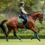 LeMieux Ladies Mia Mesh Short Sleeve Base Layer in Hunter Green - Lifestyle
