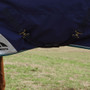 WeatherBeeta ComFiTec Plus Dynamic Detach-A-Neck Turnout Rug 220g In Navy - Fastenings