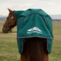 WeatherBeeta ComFiTec Plus Dynamic Detach-A-Neck Turnout Rug 220 In Forest Green - Tail Flap