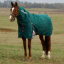 WeatherBeeta ComFiTec Plus Dynamic Detach-A-Neck Turnout Rug 220g In Forest Green