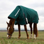 WeatherBeeta ComFiTec Plus Dynamic Detach-A-Neck Turnout Rug 220g In Forest Green