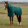 WeatherBeeta ComFiTec Plus Dynamic Detach-A-Neck Turnout Rug 100g In Forest Green - Lifestyle