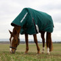 WeatherBeeta ComFiTec Plus Dynamic Detach-A-Neck Turnout Rug 100g In Forest Green